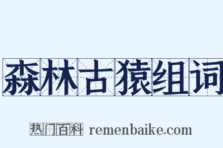 森林古猿组词是什么意思的图片